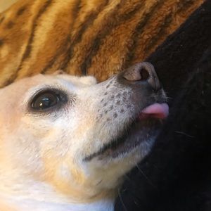 Meet your Posher, Lina